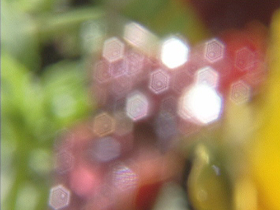 エピソードボタン